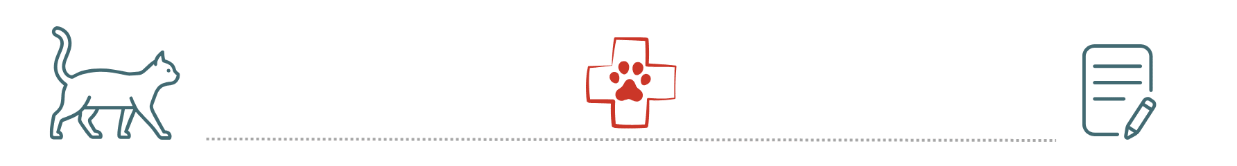 Healthy Pet After Veterinary Care healthy dog supported by pet insurance at All Paws Animal Hospital Mondovi WI